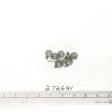 Click for 1 image(s) for this accession. FRUIT